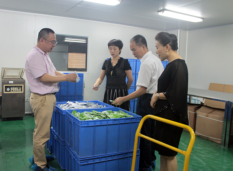 番禺區(qū)麥副區(qū)長(zhǎng)一行蒞臨我司指導(dǎo)工作